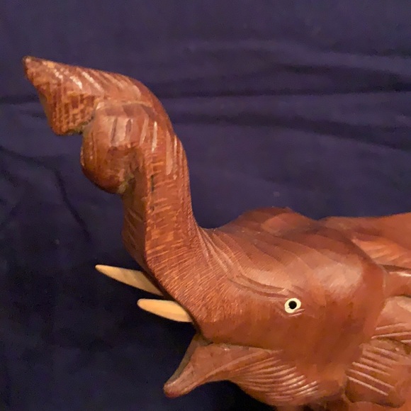 Elephant - Picture 5 of 7